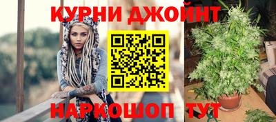 молекула духа Заводоуковск
