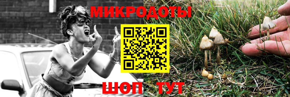 Ульяновск  Галлюциногенные грибы Psilocybine cubensis  Вход с VPN 